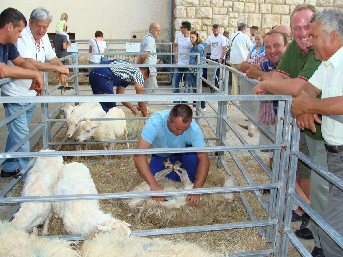 Adriatic Romance باشْكا المظهر الخارجي الصورة